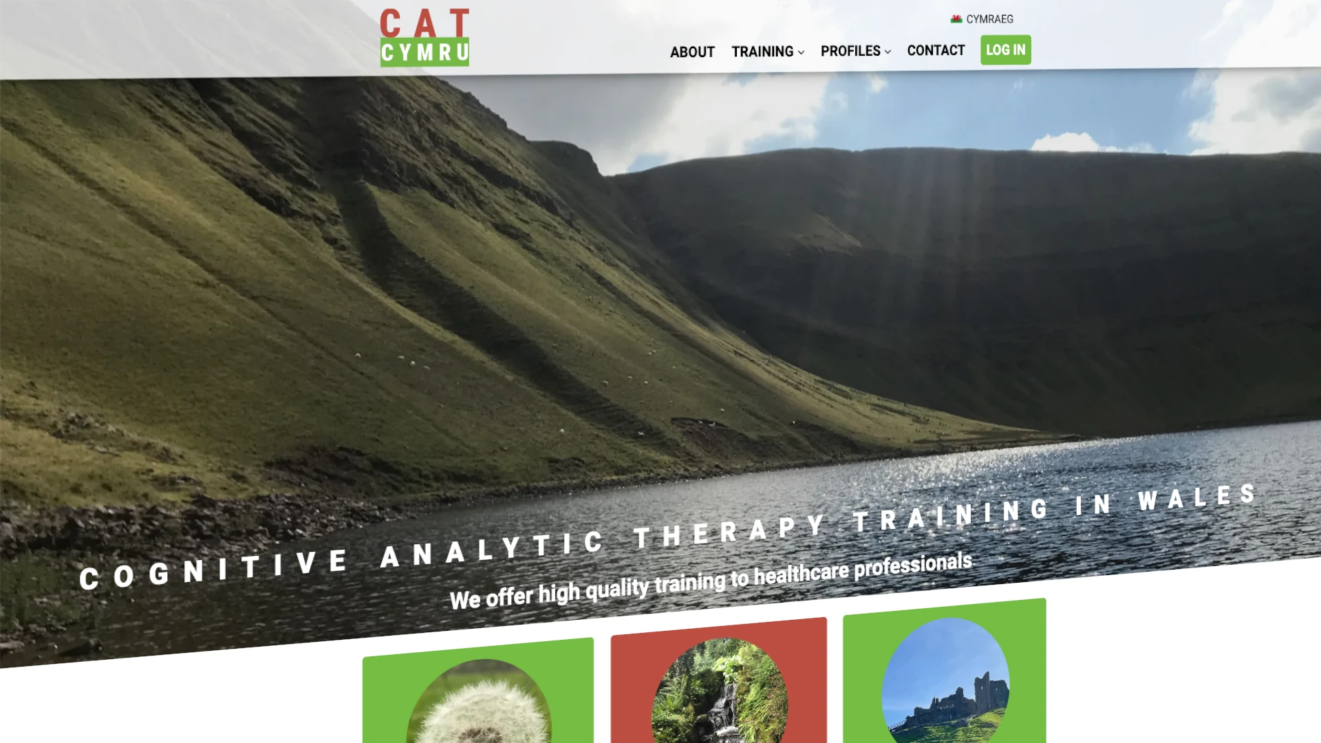 Cognitive Analytic Therapy Training in Wales